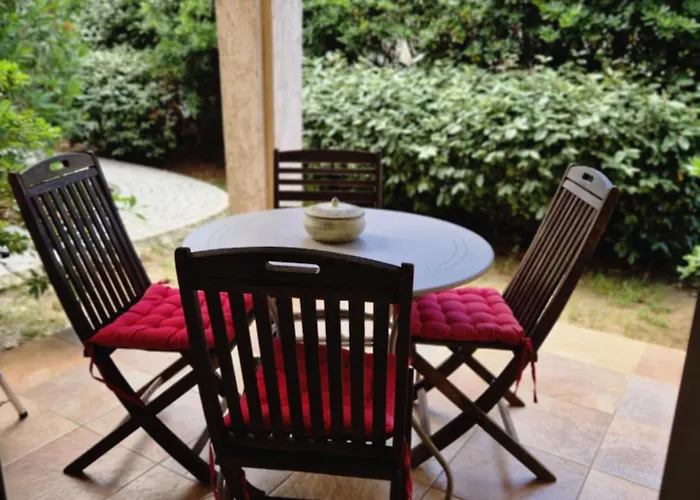 Arena Bianca Monticello